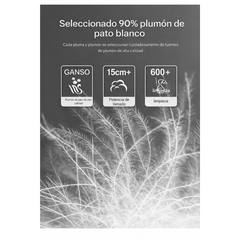 Ariston | Chaqueta Híbrida Premium