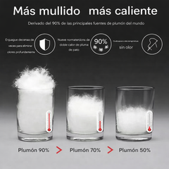 Ariston | Chaqueta Híbrida Premium